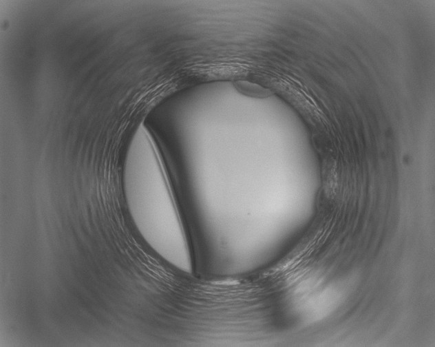 X0000051880478200506240941