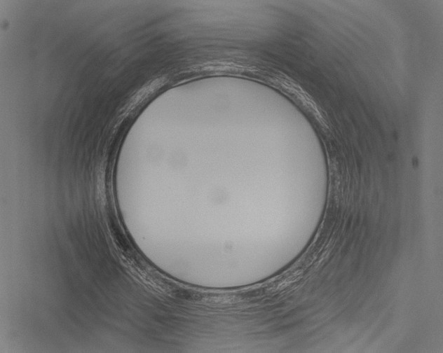 X0000051880482200506240941