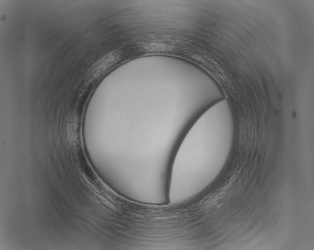 X0000051880490200506240941