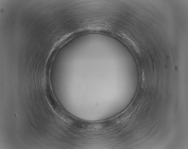 X0000051880492200506240941