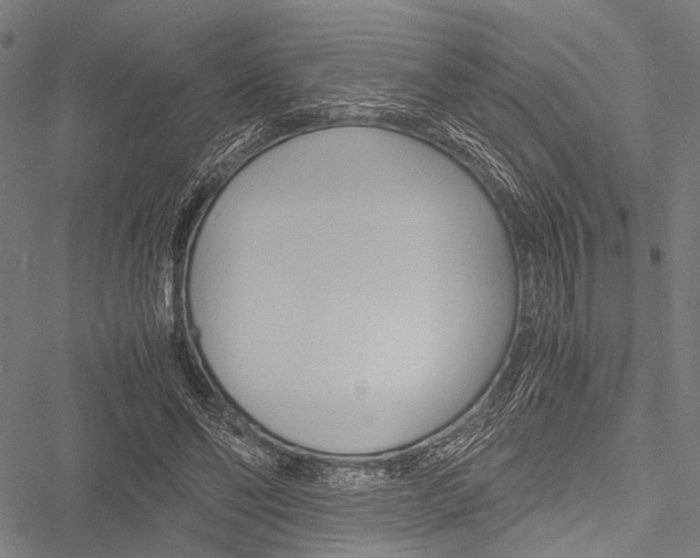 X0000051880494200506240940