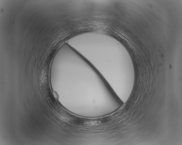 X0000051880499200506240940