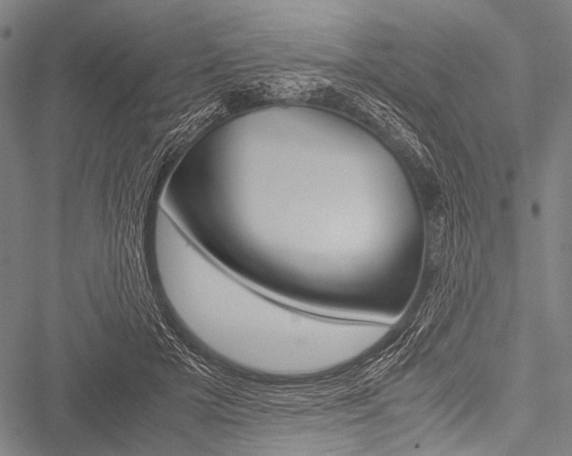 X0000051880505200506240940
