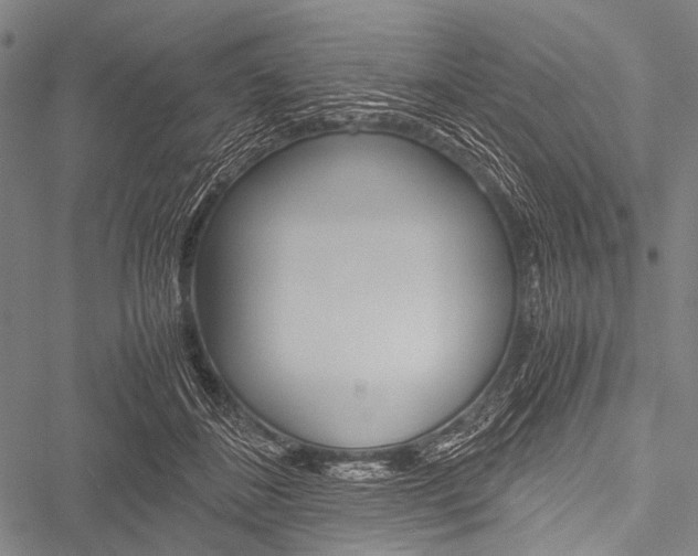 X0000051880508200506240940