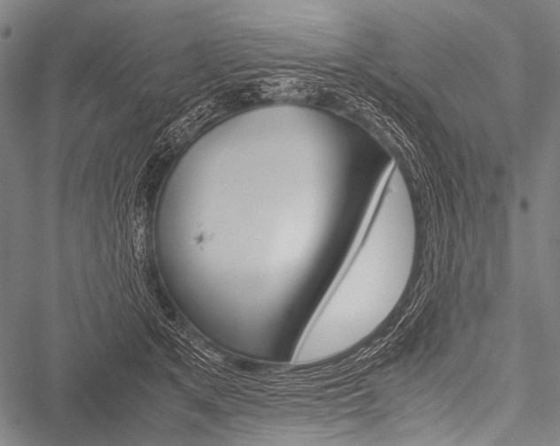 X0000051880513200506240940