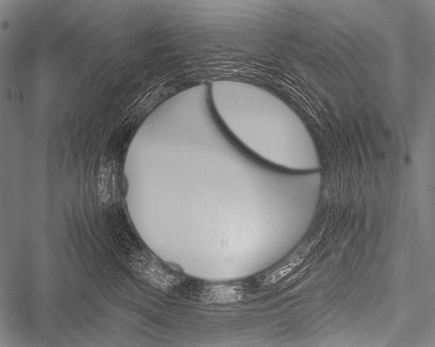 X0000051880522200506240940