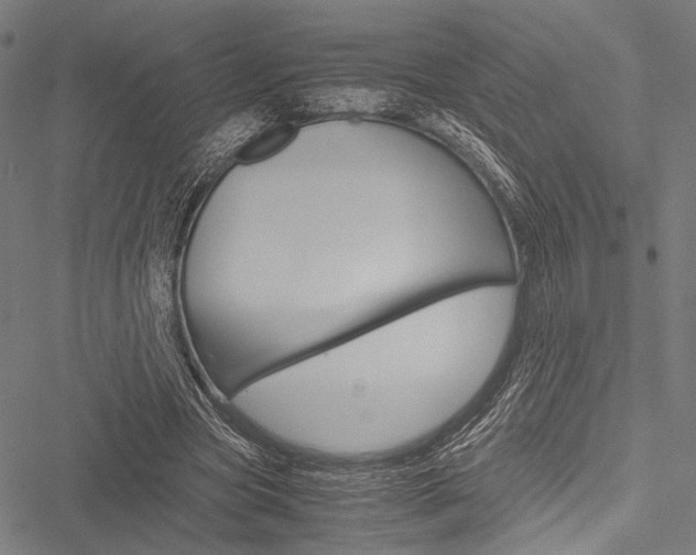 X0000051880537200506240939
