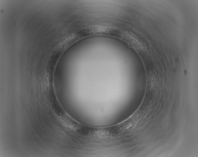 X0000051880546200506240939