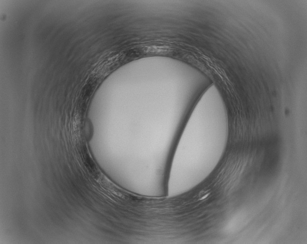 X0000051880557200506240940