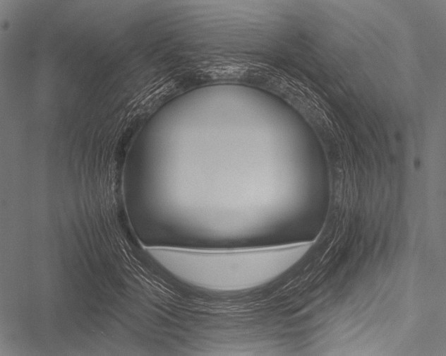 X0000051880604200506240939