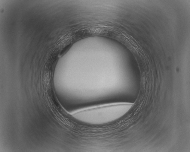 X0000051880605200506240939