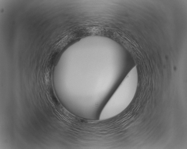 X0000051880611200506240939