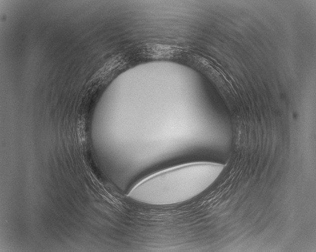 X0000051880620200506240938