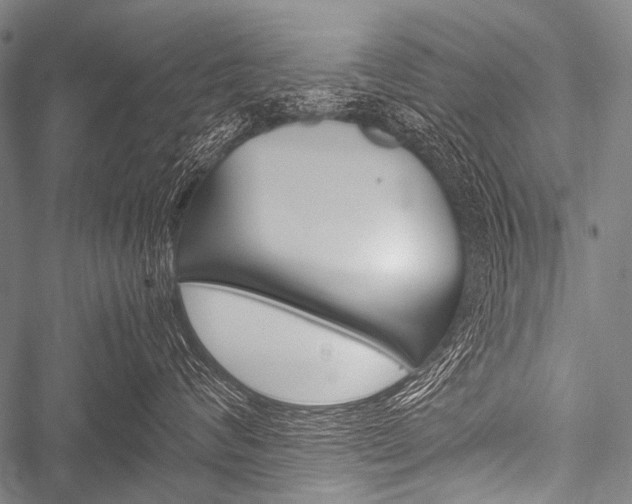 X0000051880624200506240938