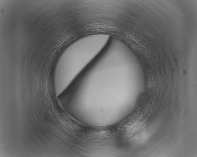 X0000051880646200506240938