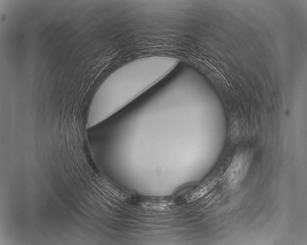X0000051880661200506240938
