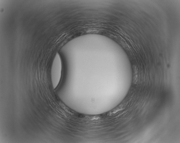 X0000051880667200506240938