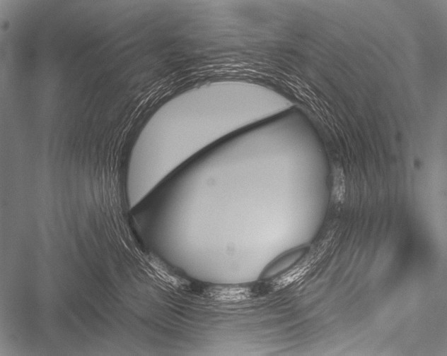 X0000051880670200506240938