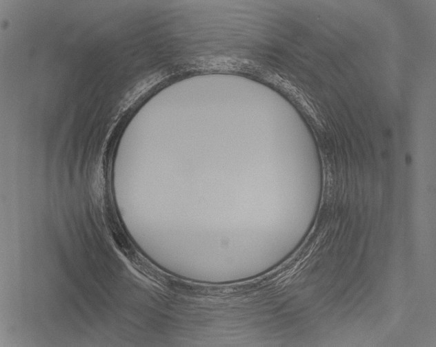 X0000051880674200506240938