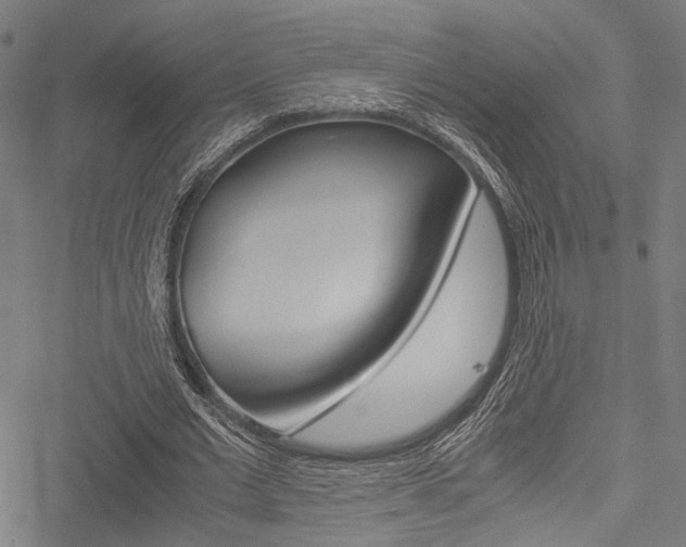 X0000051880677200506240937