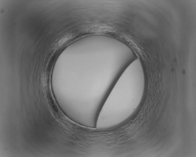 X0000051880679200506240937