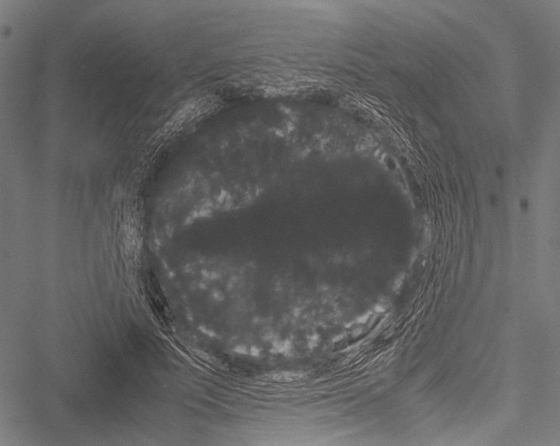 X0000051880691200506240937
