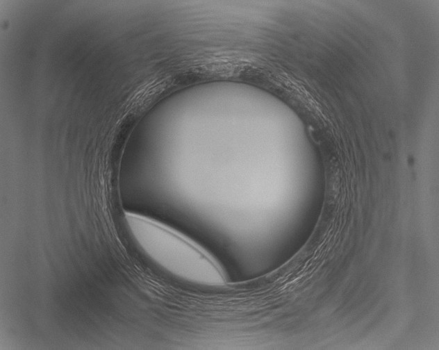 X0000051880693200506240937