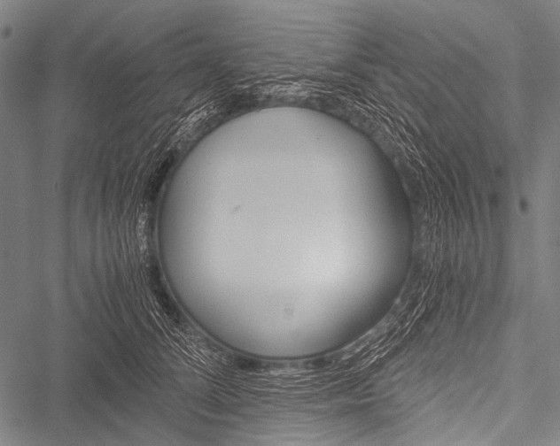 X0000051880708200506240937