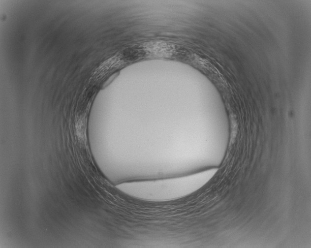 X0000051880713200506240937