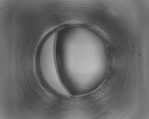 X0000051880732200506240936
