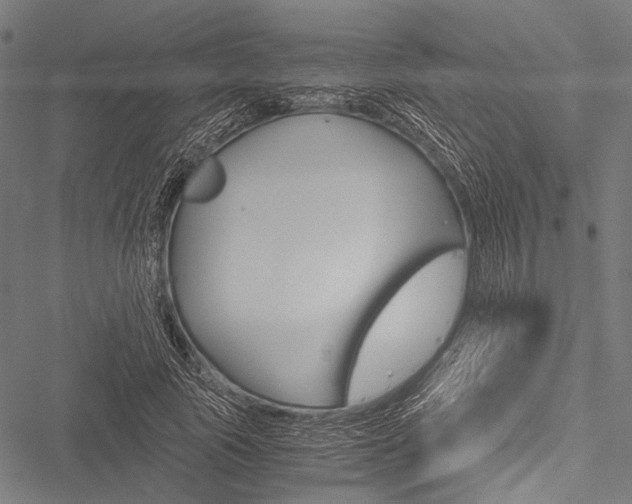 X0000051880737200506240936