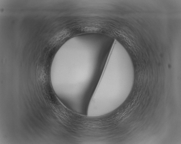 X0000051880743200506240936