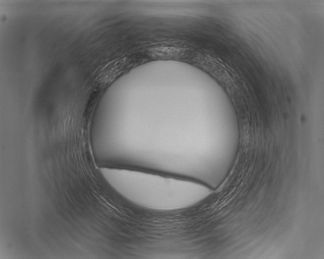X0000051880749200506240936