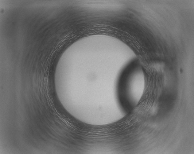 X0000051880750200506240936