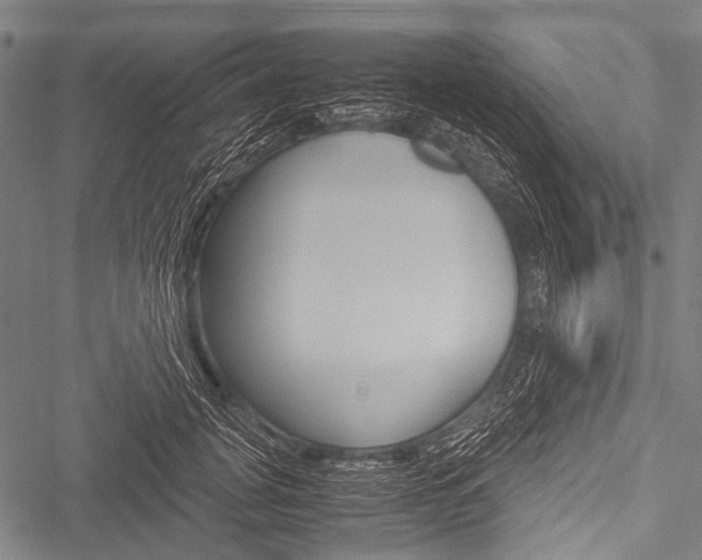 X0000051880751200506240936