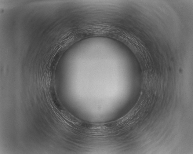 X0000051880752200506240937