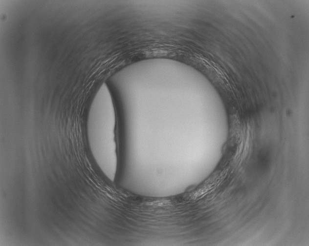 X0000051880761200506240937