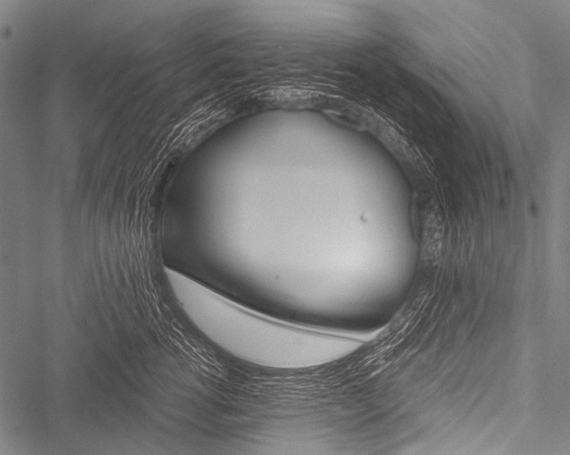 X0000051880762200506240937