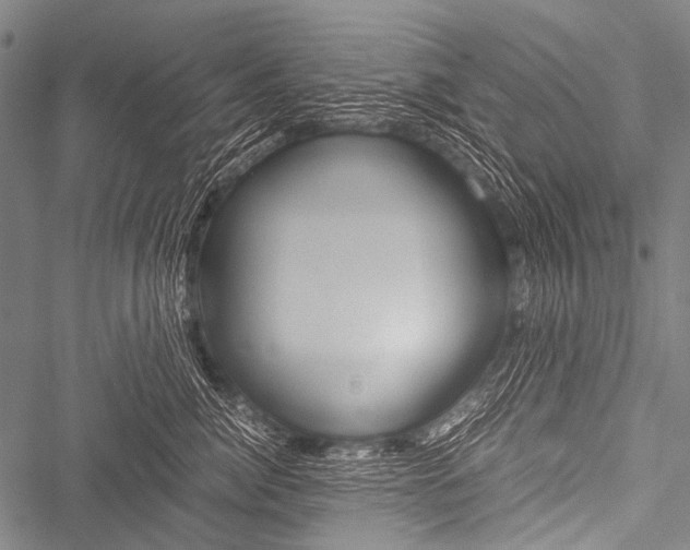 X0000051880764200506240937