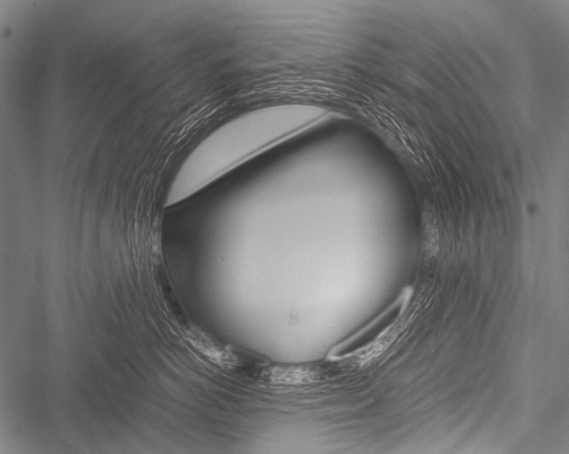 X0000051880766200506240937