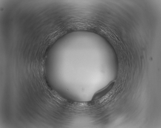 X0000051880768200506240937