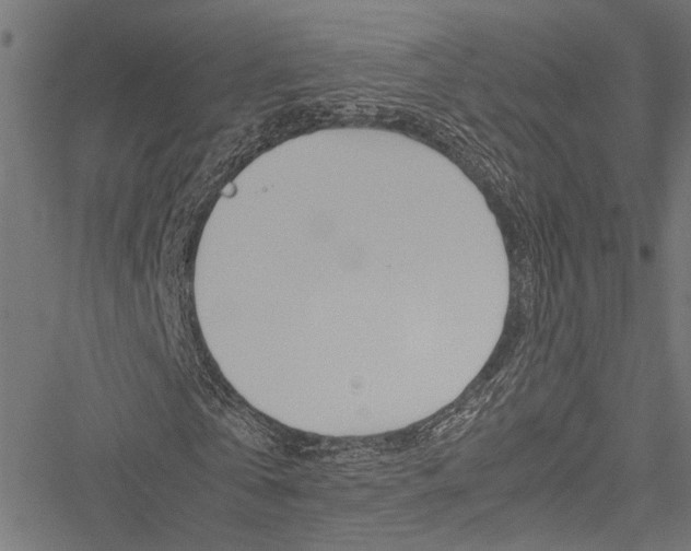 X0000051880769200506240936