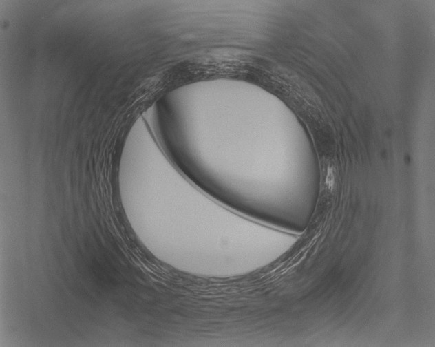X0000051880771200506240936