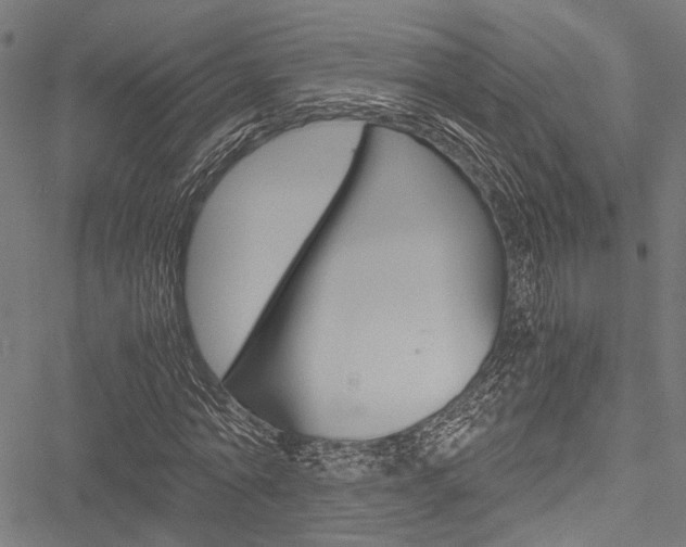 X0000051880774200506240936
