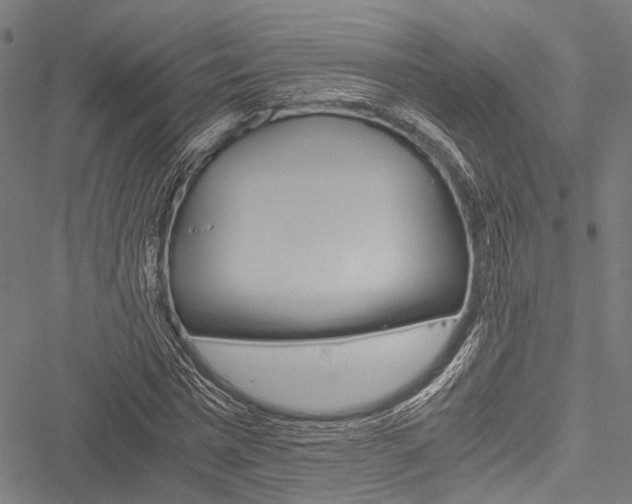 X0000051880777200506240936