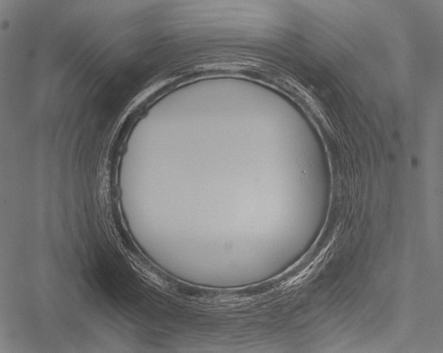 X0000051880779200506240936