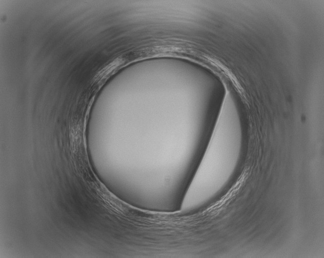 X0000051880785200506240936