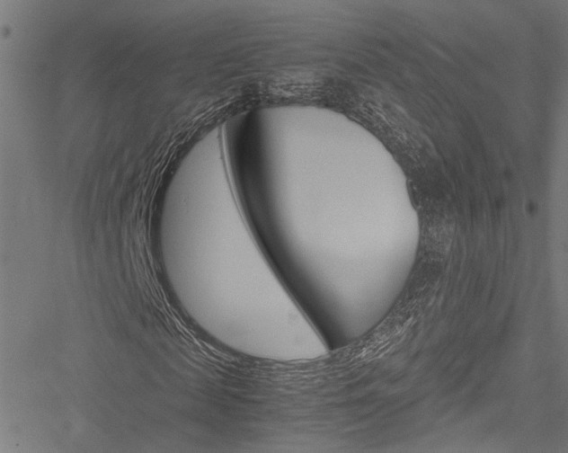 X0000051880817200506240934