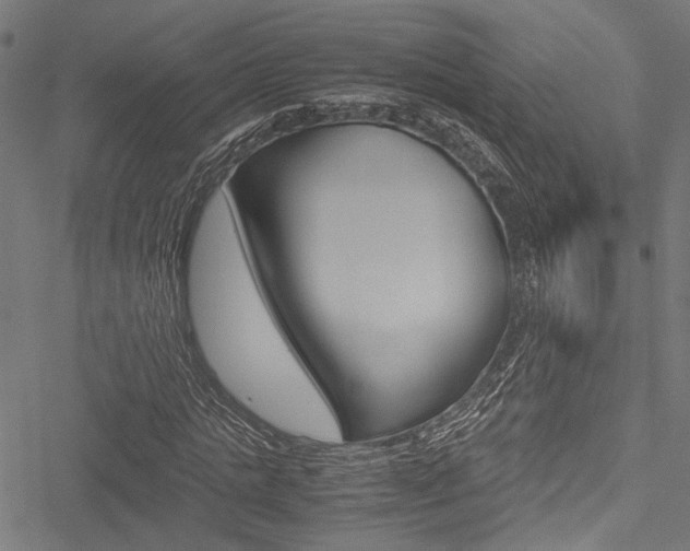 X0000051880821200506240934