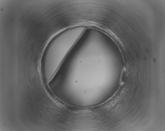 X0000051880838200506240935